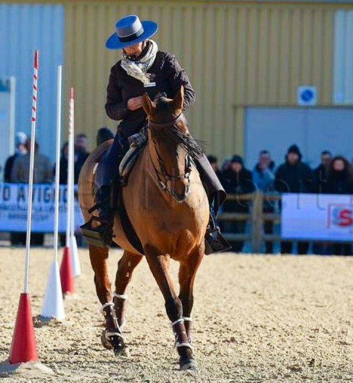 Al Capone et Elisa Moya. Maniabilité Épreuve FFE Cheval- Passion Avignon