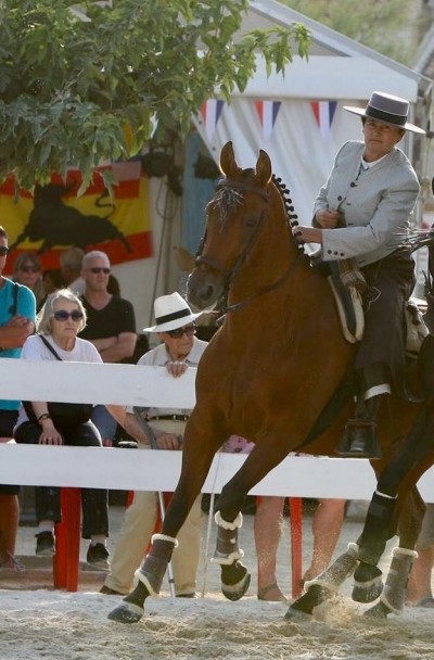 Démonstration équitation de travail