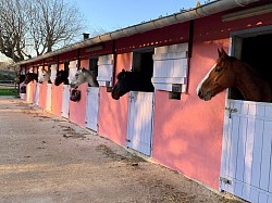 Centre Équestre d’Avignon.Equisudformation