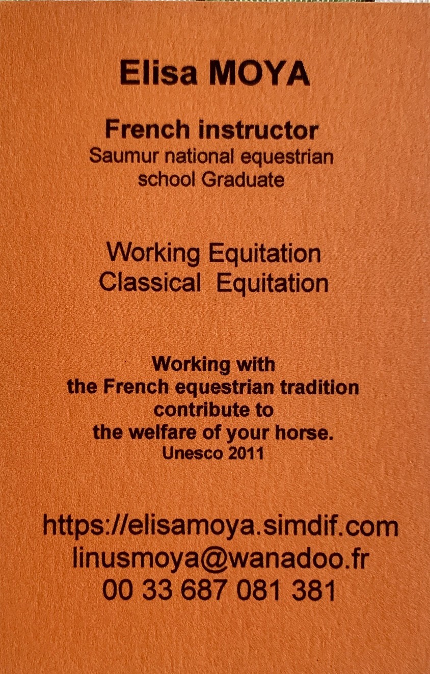Elisa Moya CV