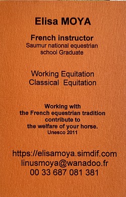 Carte de visite USA